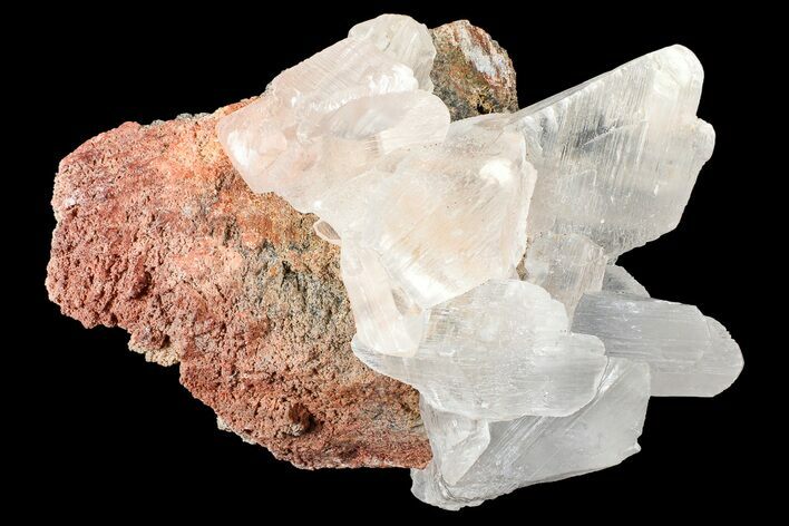 Selenite Crystals on Matrix - Naica Mine, Mexico #372173